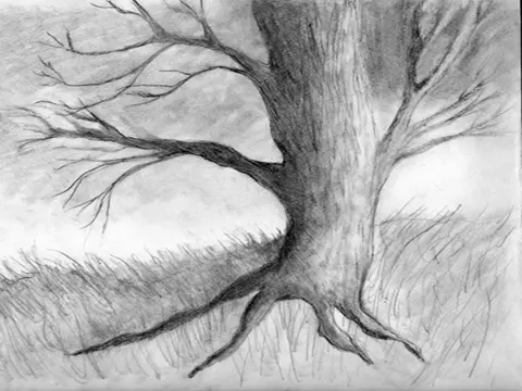 the final image of an empty tree - Too Many Funerals by Christine Potter